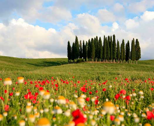 Val d'Orcia